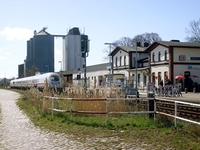 Oldenburg Holstein